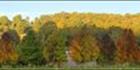 Autumn Colours - Stanley - VIC Megapan (PBH4 00 13481)